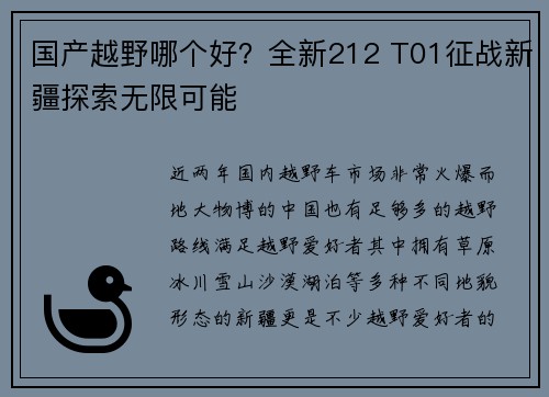 国产越野哪个好？全新212 T01征战新疆探索无限可能