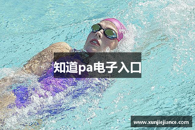 知道pa电子入口